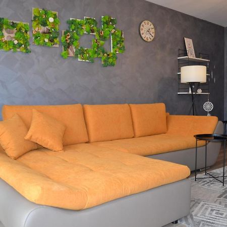 Marimonti Apartment 布拉索夫 外观 照片