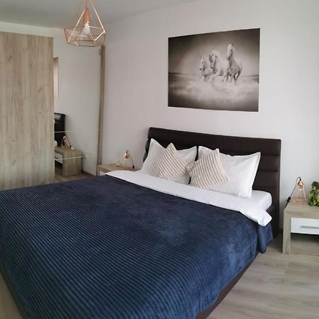 Marimonti Apartment 布拉索夫 外观 照片