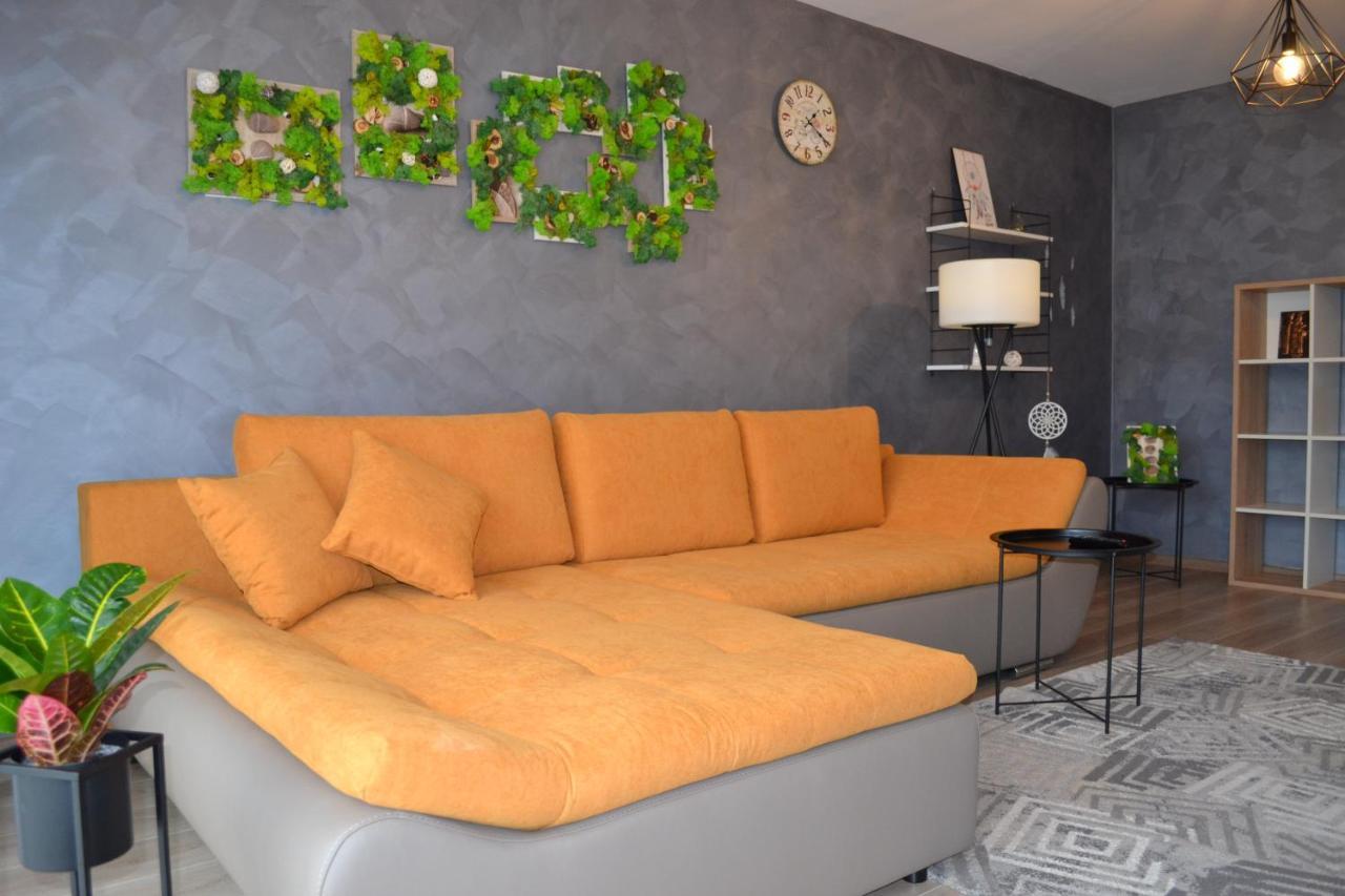 Marimonti Apartment 布拉索夫 外观 照片