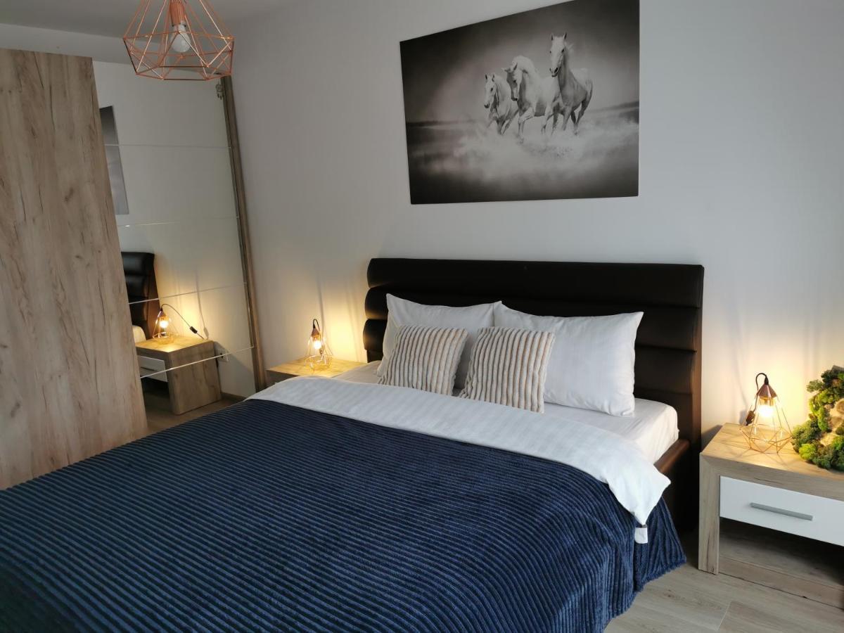 Marimonti Apartment 布拉索夫 外观 照片