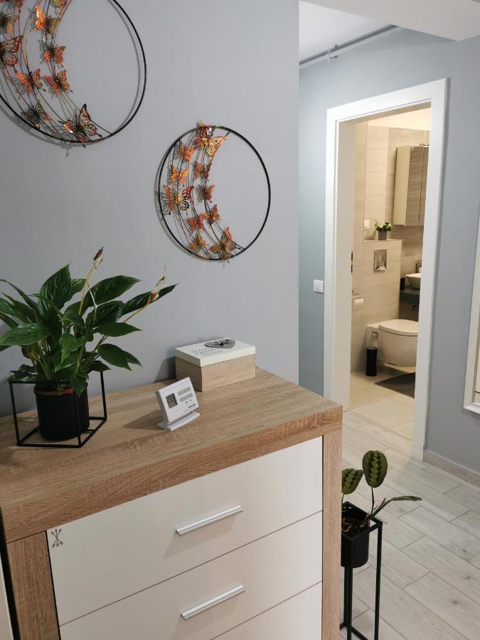Marimonti Apartment 布拉索夫 外观 照片